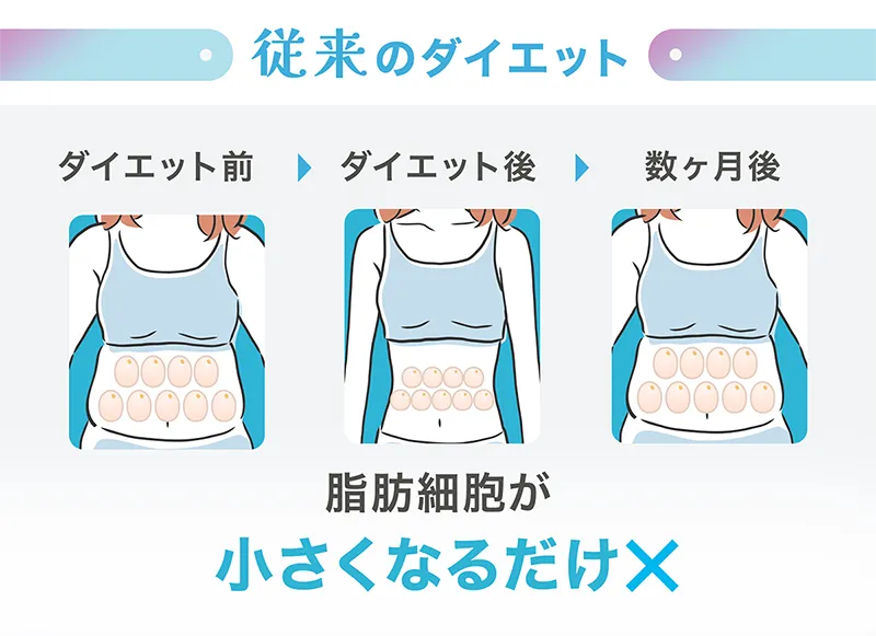 従来のダイエット　脂肪細胞が小さくなるだけ